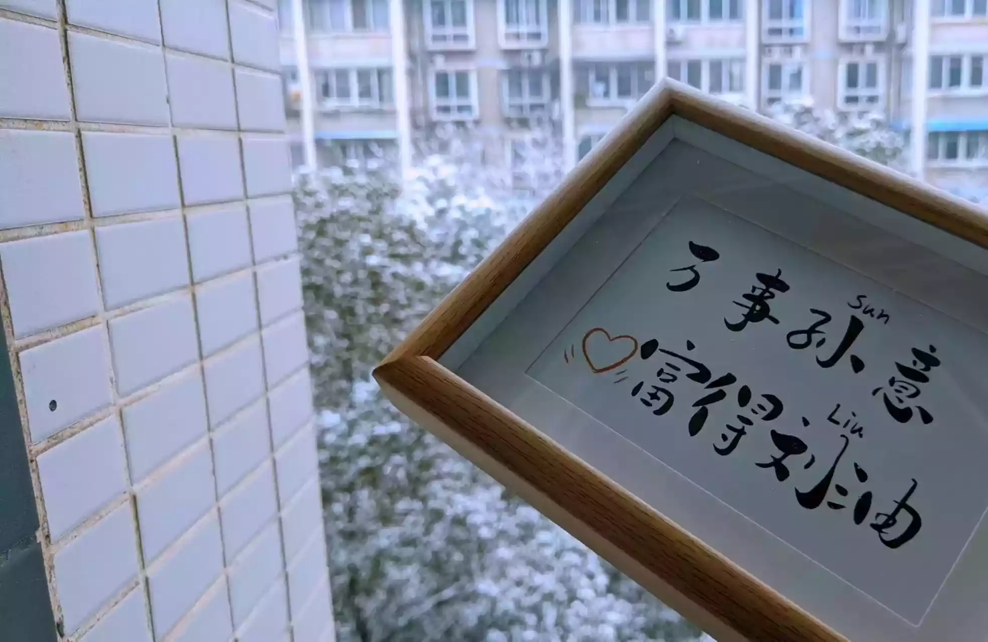 2023-12-20 团子礼物.webp